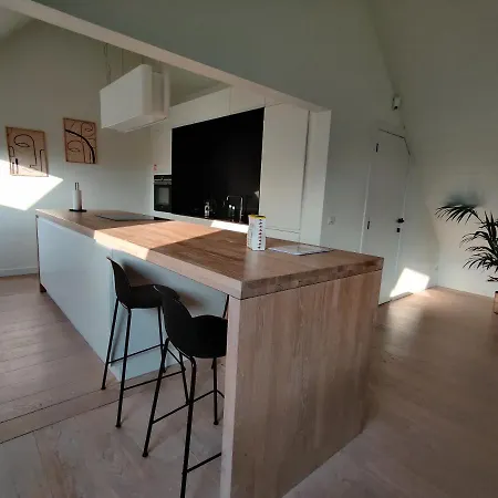 Beautiful 3-bedroom - 3-bathroom Pendula * Bruges